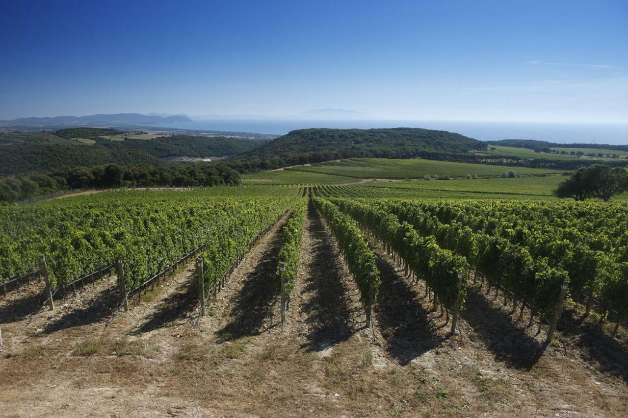 Il Castelluccio - By Bolgheri Holiday Βίλα Monteverdi Marittimo Εξωτερικό φωτογραφία